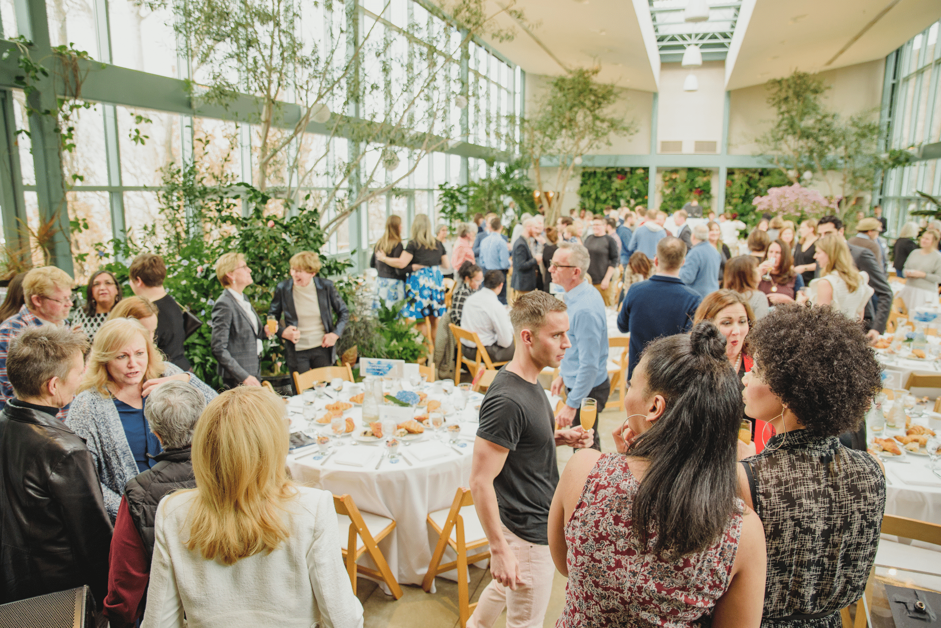 PAC brunch participants mingling in a bright room with many plants